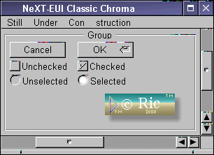 NeXT-EUI Classic CH