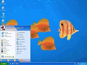WinXP Two in One