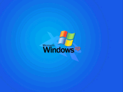 Windows XP Desktop Theme