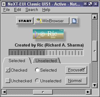 NeXT-EUI Classic UIS1